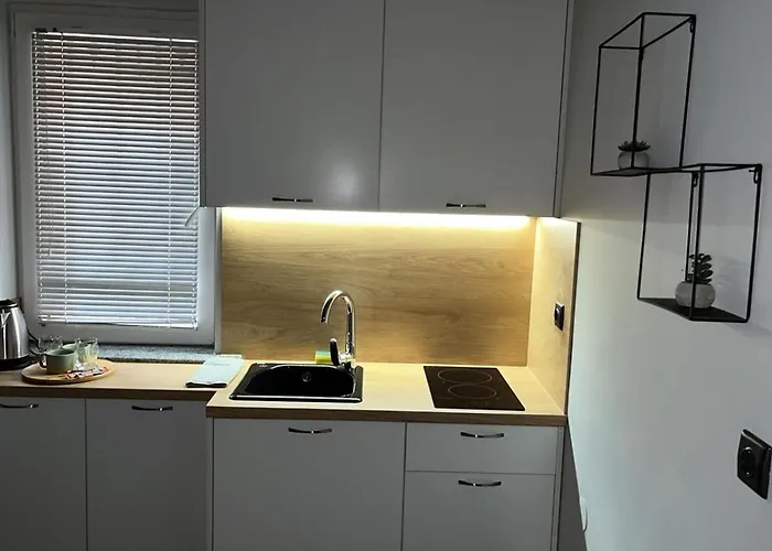 Mimsy House 普罗夫迪夫